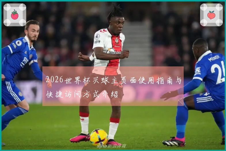 2026世界杯买球主页面使用指南与快捷访问方式介绍