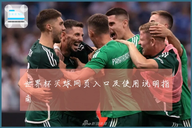 世界杯买球网页入口及使用说明指南