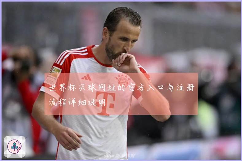 世界杯买球网址的官方入口与注册流程详细说明