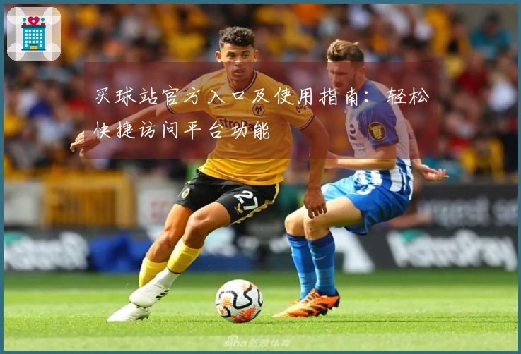 买球站官方入口及使用指南：轻松快捷访问平台功能