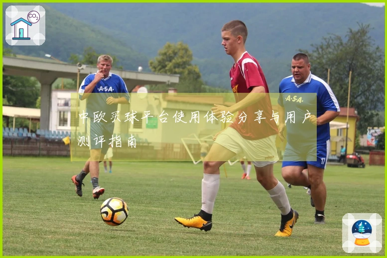 中欧买球平台使用体验分享与用户测评指南