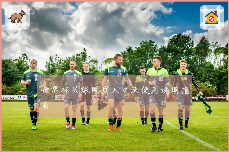世界杯买球网页入口及使用说明指南